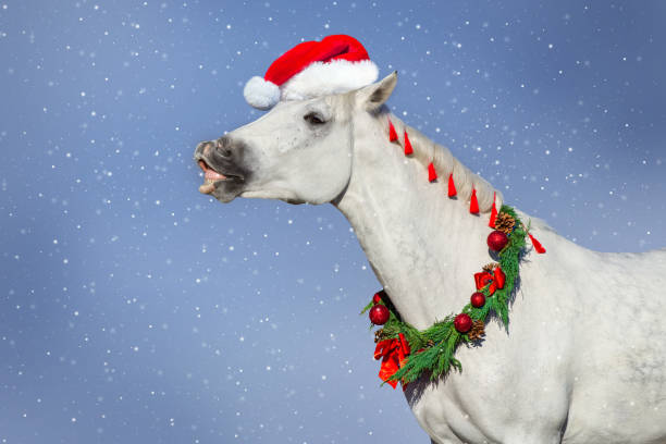 istock White horse santa hat  in snow day 1358460772