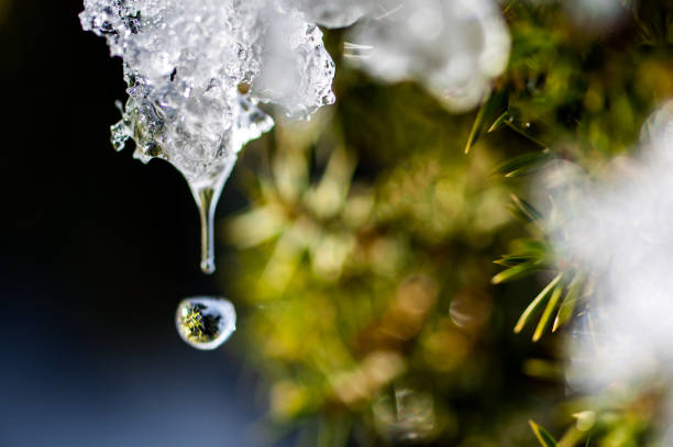 Winter scene - extreme close up shot of a water drop falling from a melting ice on a mountain