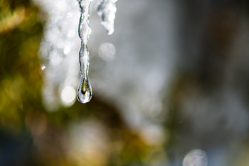 Winter scene - extreme close up shot of a water drop falling from a melting ice on a mountain