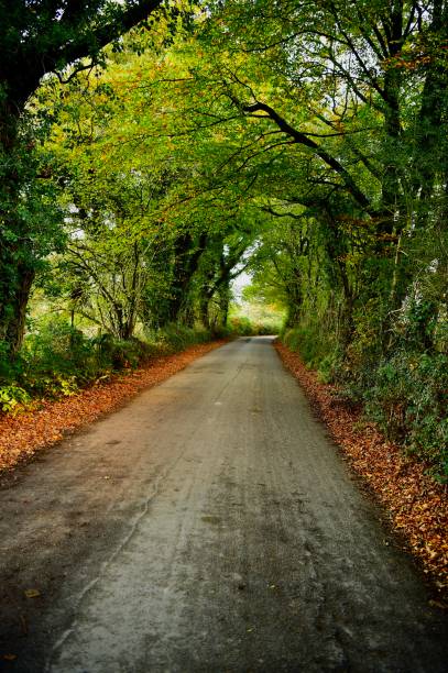 istock English Countryside 1358468137
