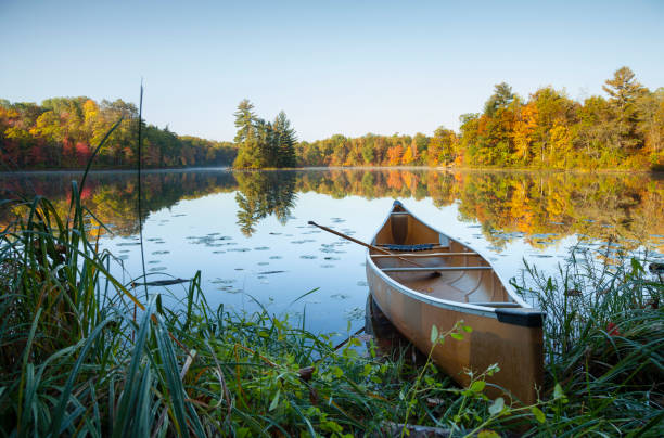 Canoe with paddle on shore of beautiful lake with island in northern Minnesota at dawn Canoe with paddle on shore of beautiful lake with island in northern Minnesota at sunrise early fall stock pictures, royalty-free photos & images