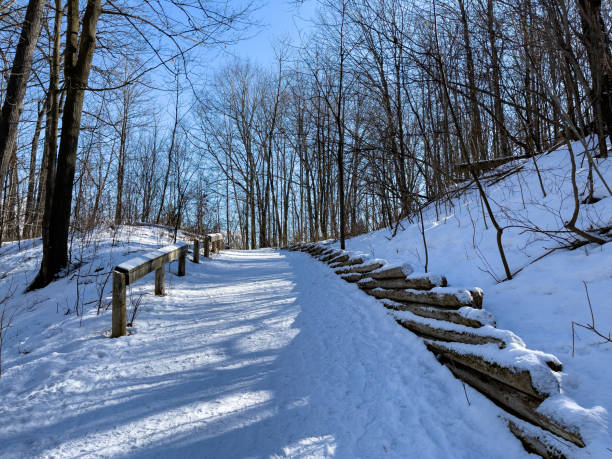 istock William Granger Greenway and Boyd Conservation Park in winter, Vaughan, Canada 1358475942