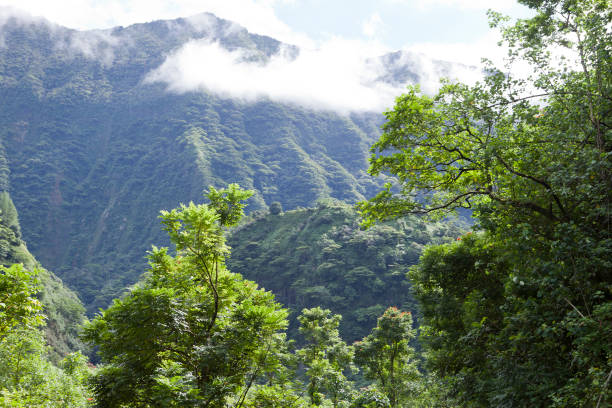 istock Tahiti. Polynesia. Clouds over a mountain landscape 1358476064