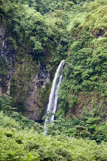 Waterfall in tropical nature. Polynesia. Tahiti stock photo