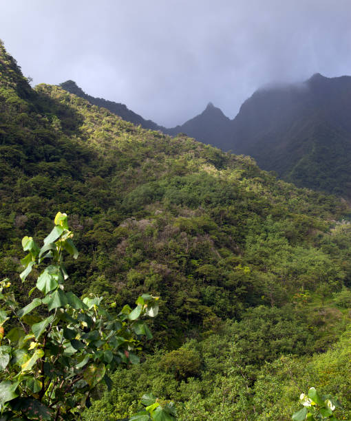 istock Clouds over a mountain landscape. Tahiti. Polynesia. 1358476073