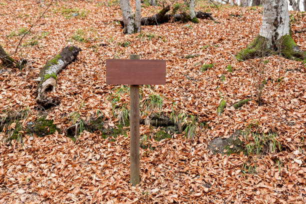 Free Stock Photo of Wooden sign in the forest | Download Free Images ...