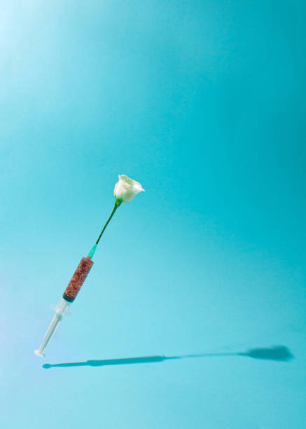 istock Creative Coronavirus or  or COVID-19 vaccine. Spring Nature creative idea. Epidemic virus Respiratory Syndrome. Syringe with white rose flowers. Minimal Pandemic background. 1358478792