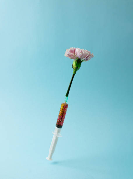 istock Creative Coronavirus or  or COVID-19 vaccine. Spring Nature creative idea. Epidemic virus Respiratory Syndrome. Syringe with pink carnation flowers. Minimal Pandemic background. 1358478803