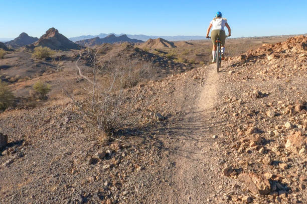 istock Female mountain biker follows trail, in desert 1358480162