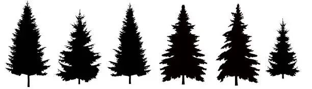 Photo of Set of Christmas trees