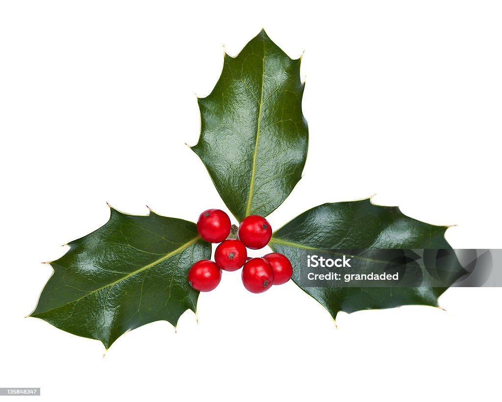 Holly con frutti di bosco - Foto stock royalty-free di Agrifoglio