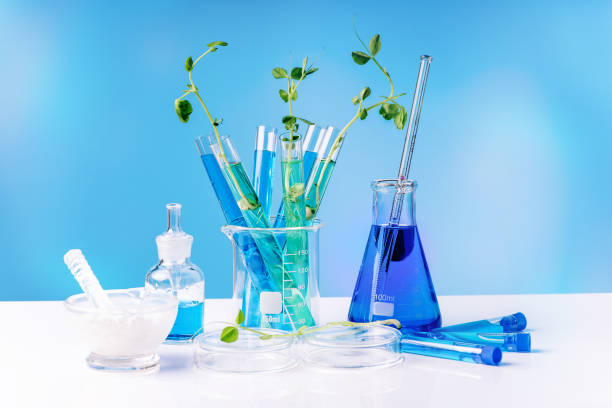 istock Genetic research and Biotech science Concept. Human Biology and pharmaceutical technology on laboratory background.Chemical experiment. Laboratory equipment, glass flasks, pipettes. 1358492015