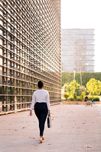 rear view of a businesswoman walking in the financial district of the city, concept of successful entrepreneur and urban lifestyle, copy space for text