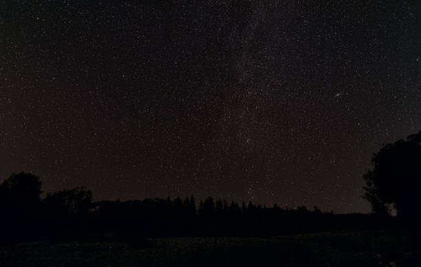 siluetas de árboles con cielo nocturno y muchas estrellas - región cerca de la constelación de casiopea con galaxia de andrómeda visible - galaxia andrómeda fotografías e imágenes de stock