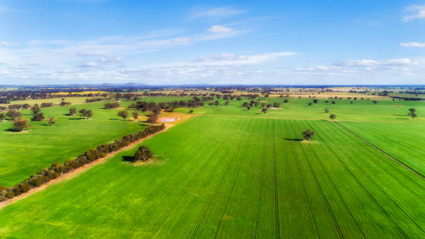 istock D Agri High Green plains 1358493820