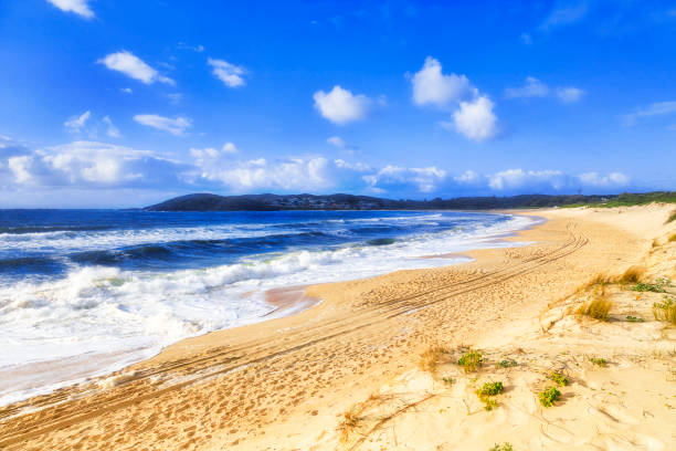 istock PS Fingal sand beach to south 1358494506