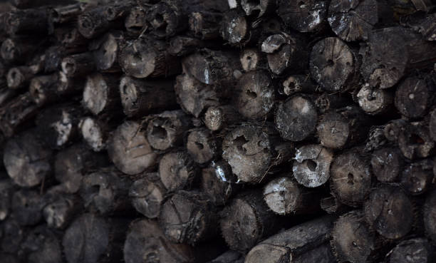 istock Unusable wood. Wood for burning. 1358503457
