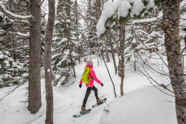 ciaspolate nella foresta invernale con alberi innevati nella giornata nevosa. donna in escursione sulla neve escursioni con le ciaspole che vivono uno stile di vita sano e attivo all'aria aperta. - snowshoeing hiking mountain winter foto e immagini stock