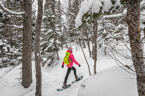 Snowshoeing people in winter forest with snow covered trees on snowy day. Woman on hike in snow hiking in snowshoes living healthy active outdoor lifestyle.