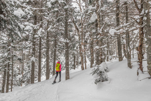 atividade de inverno snowshoe. mulher snowshoeing na floresta de inverno com árvores cobertas de neve. pessoas caminhando em caminhadas de neve em sapatos de neve vivendo um estilo de vida saudável e ativo ao ar livre. - snowshoeing snowshoe women shoe - fotografias e filmes do acervo