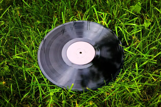 Old Vinyl Record on the Grass Background