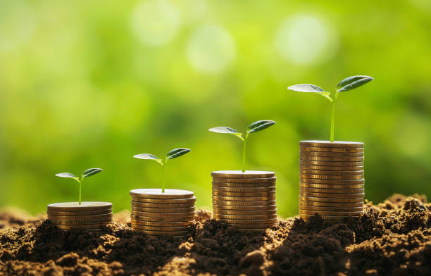 istock money stack with small tree growing stept. concept finance and accounting 1358519371