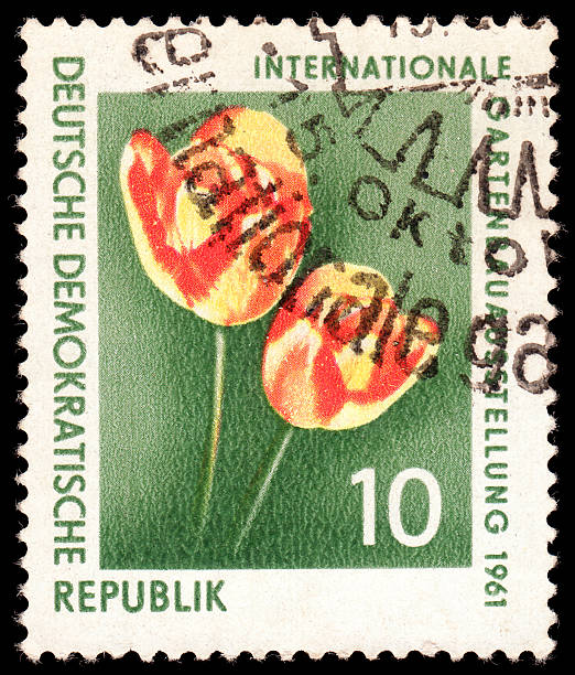 stempel mit tulpen - germany postage stamp yellow red stock-fotos und bilder