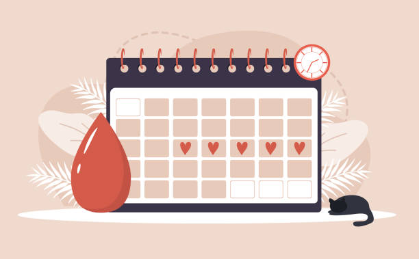 ilustraciones, imágenes clip art, dibujos animados e iconos de stock de mujer y punto. calendario de menstruación shedule. problemas de día críticos femeninos. ilustración vectorial en estilo de dibujos animados planos - pms