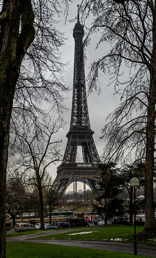 Eiffel Tower seen from the champ de mars park.