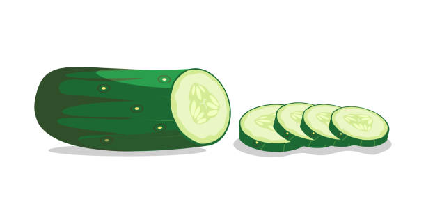 Sliced ​​round cucumber vector illustration on a white background Sliced ​​round cucumber vector illustration on a white background cucumber slice stock illustrations