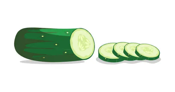 Vector illustration of Sliced ​​round cucumber vector illustration on a white background