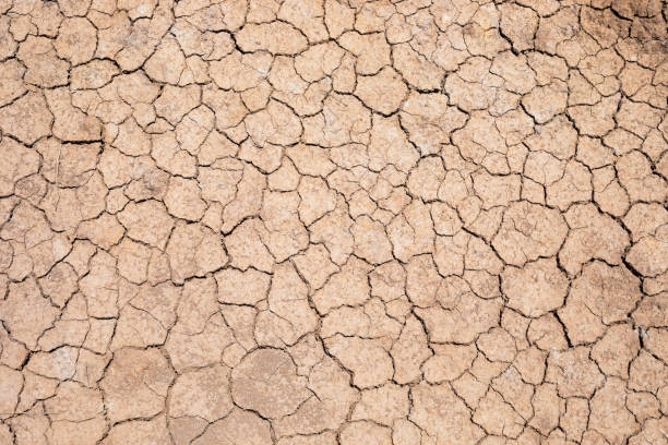 istock Dried earth in Sukohtai 1358528970