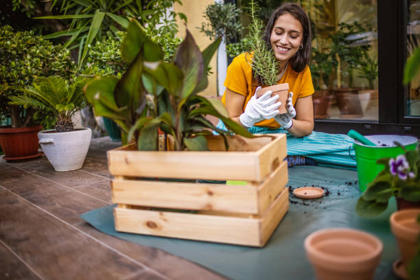 istock Beautiful young woman arranging her plants on balcony 1358532548