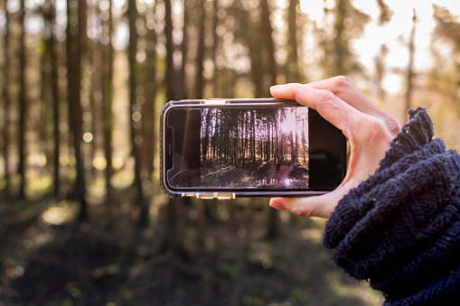 Female hand holding phone, displaying forest photo in the background