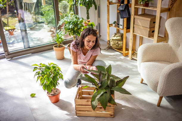 istock Urban gardening at home 1358533192