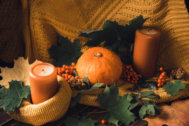 istock orange pumpkins with autumn leaves and a knitted blanket 1358533204