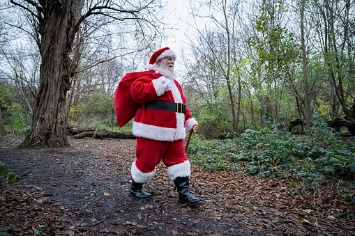 Full length view of bearded man in late 60s wearing traditional red and white costume, carrying sack of gifts, and moving through forest en route to deliveries.