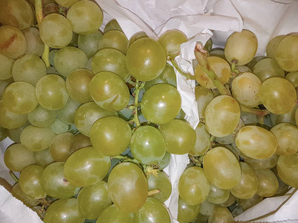 istock Clusters of table grapes 1358541310