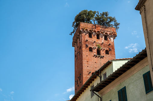 Lucca, Tuscany, Italy. August 2020. Amazing view of the Guinigi tower in the historic center. It is characterized by the red bricks and the trees that grow on its top. Beautiful summer day.