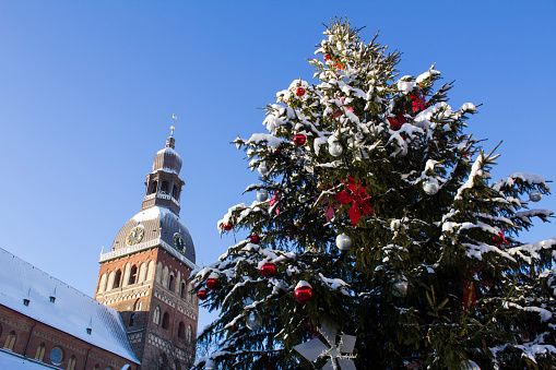 Close-up on Christmas tree and cathedral on a winter day. Riga. Latvia.The Baltic States.