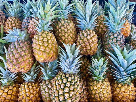 Colorful pattern of fresh ripe pineapple slices. Minimal trendy sunlight fruit concept on light blue background