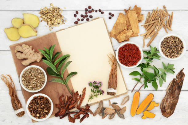 Herbal Medicine for Immune System Protection Herbal medicine preparation for immune system protection with fresh and dried herbs and spices with hemp notebook. Healthy food concept high in antioxidants, anthocyanins, vitamins and minerals. "n chinese herbal medicine stock pictures, royalty-free photos & images