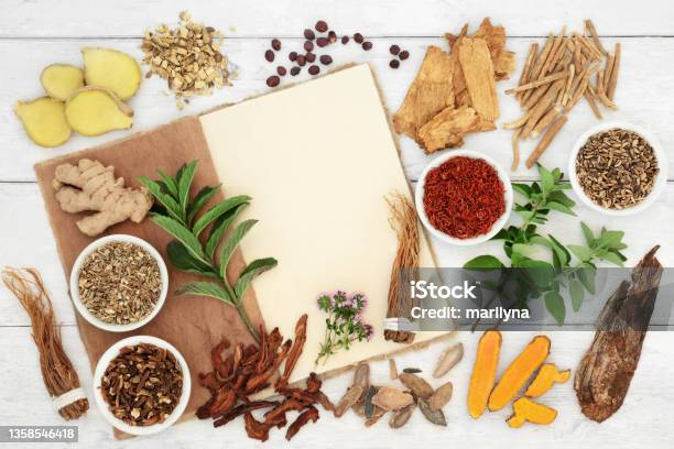 Herbal Medicine For Immune System Protection Stock Photo - Download Image Now - Herbal Medicine, Herb, Chinese Herbal Medicine