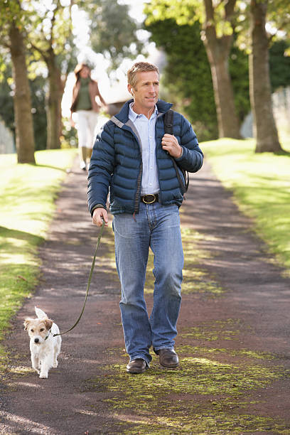 istock Man Walking Dog Outdoors In Autumn Park 135854668