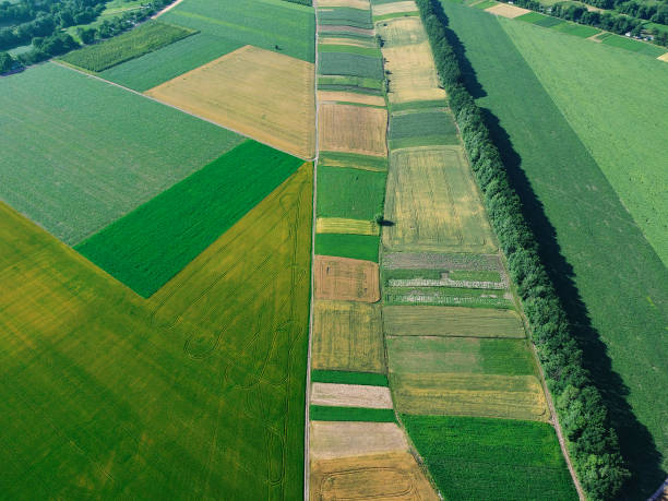 istock Land plots with different crops, top view 1358547282