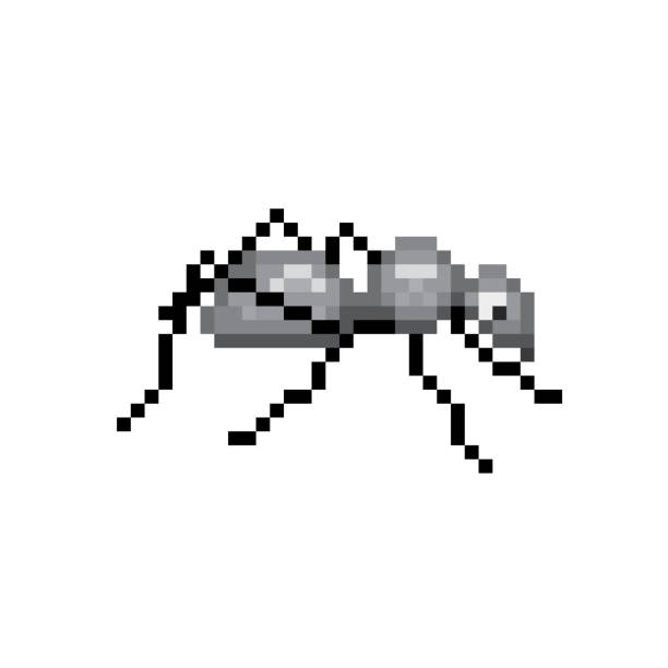 Pixel ant, vector illustration Pixel ant, vector illustration, insect in synch stock illustrations