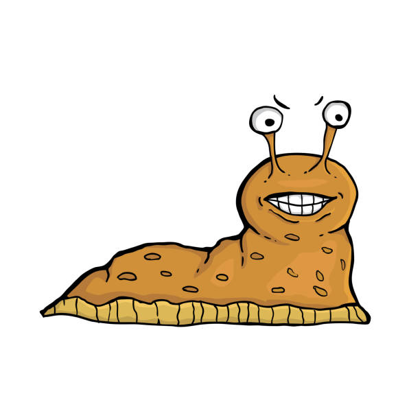 1,683 Slug Insect Illustrations & Clip Art - iStock | Barnacle 1,683 Slug Insect Illustrations & Clip Art - iStock | Barnacle