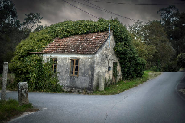 An overgrown greenery, abandoned house on a country road.