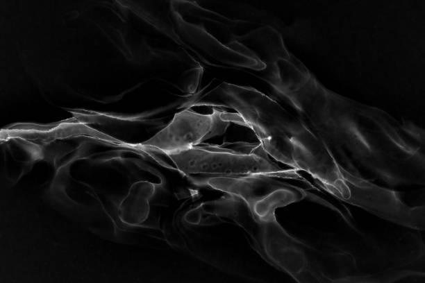 Abstract white electric wave on black technology background. Neon light paint in water, acrylic explosion, fluid liquid art