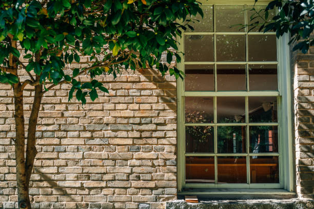 Vintage glass window on brown brick wall with green tree